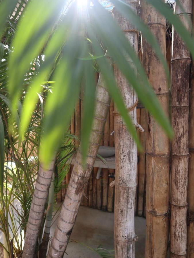 Steffi'S Mandala Hotell Hikkaduwa Eksteriør bilde
